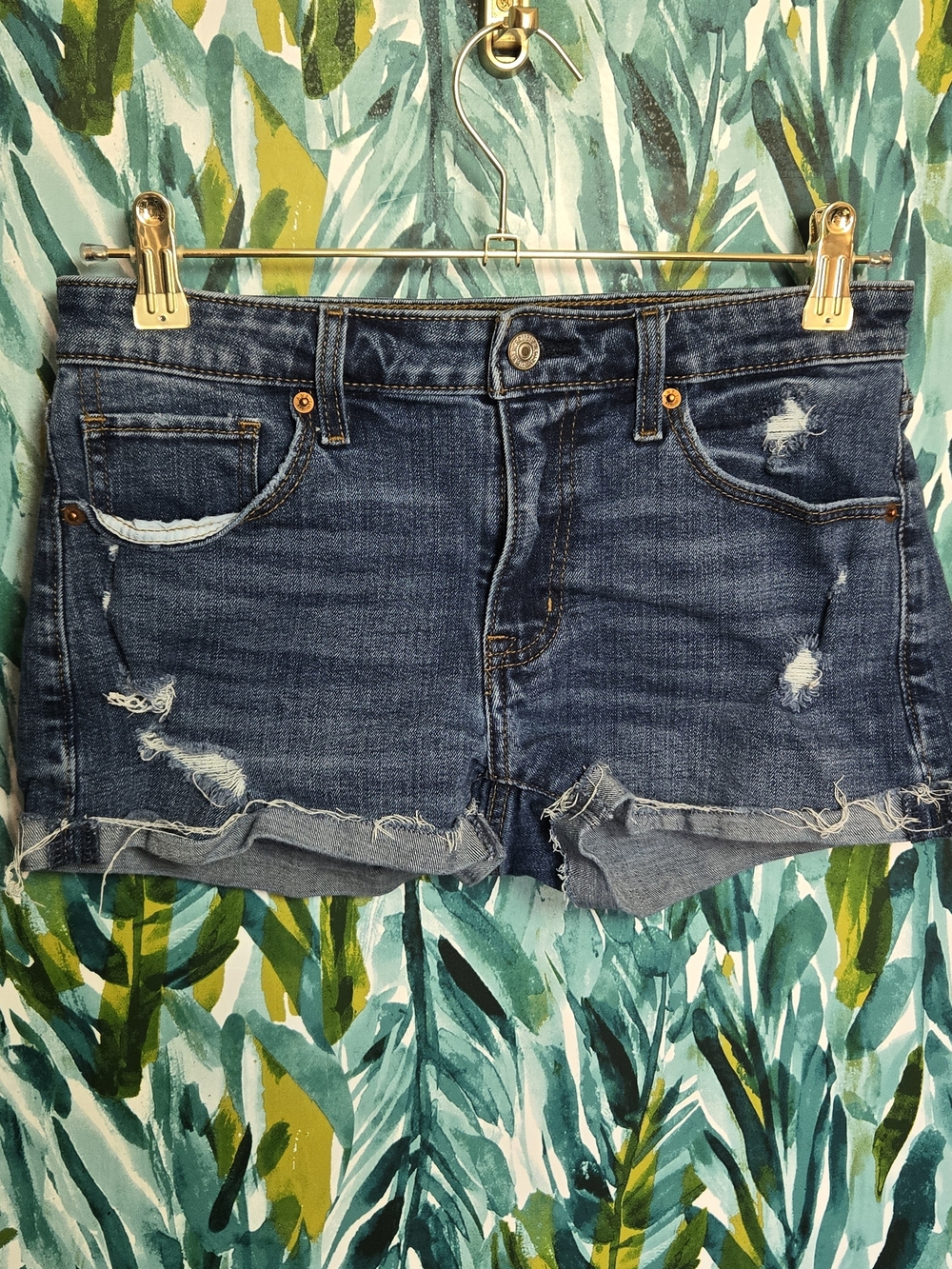 Abercrombie & Fitch Low Rise Distressed Denim Cutoff Shorts Size 27 / 4